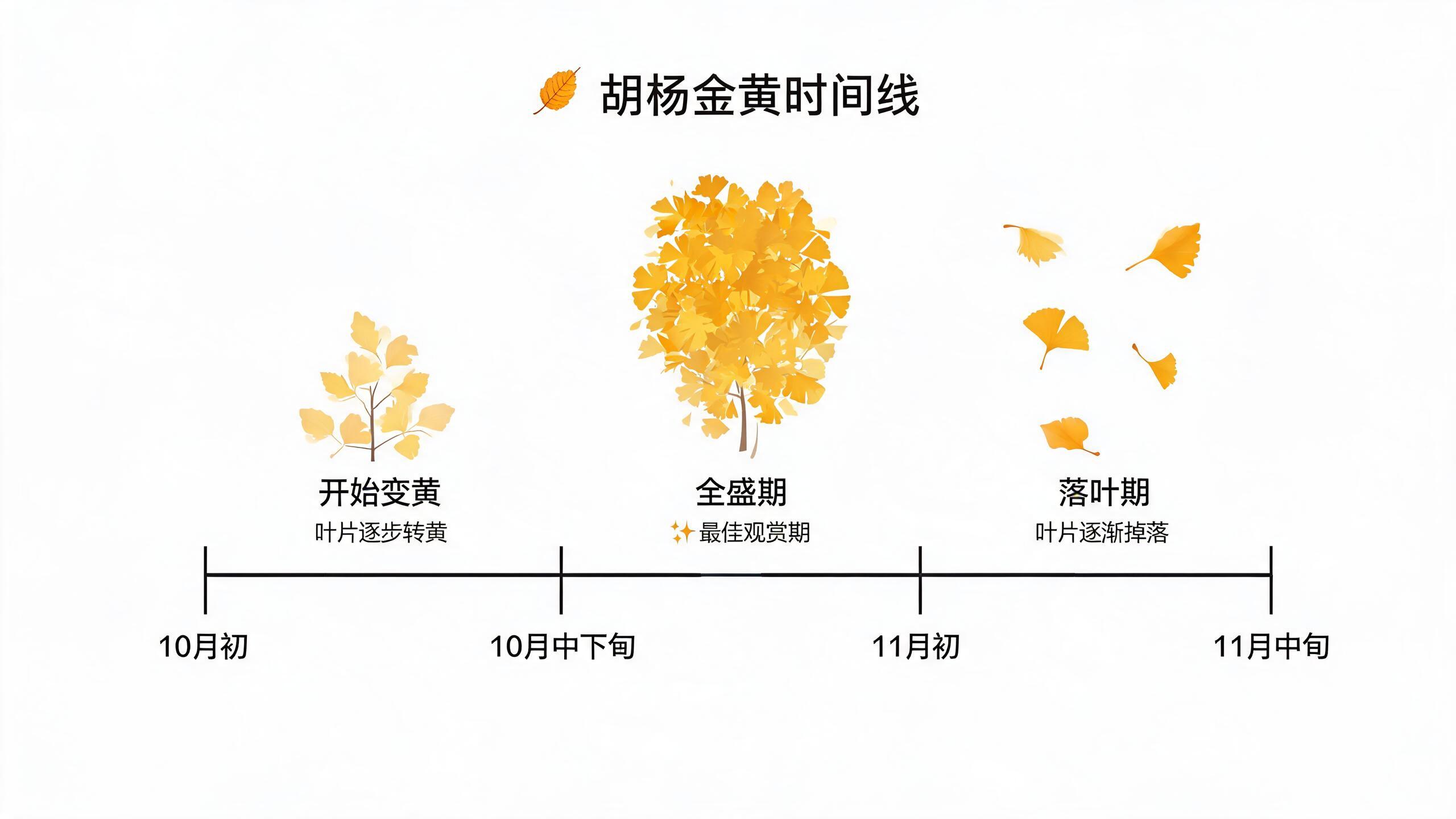 胡杨金黄时期和时间线对比图