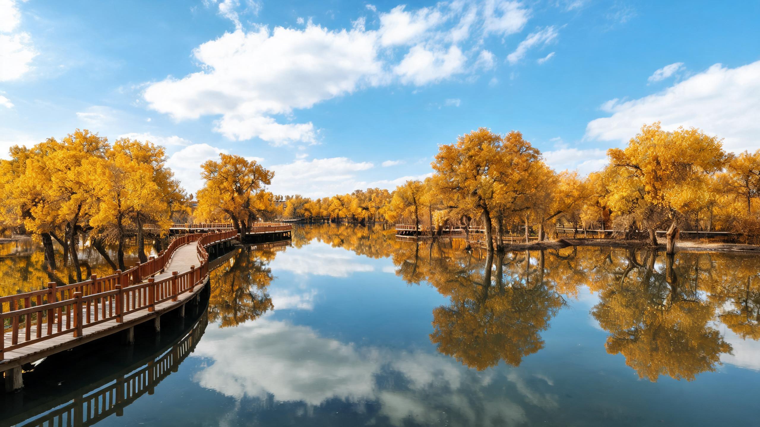泽普金胡杨水中倒影,精致美丽的水乡胡杨