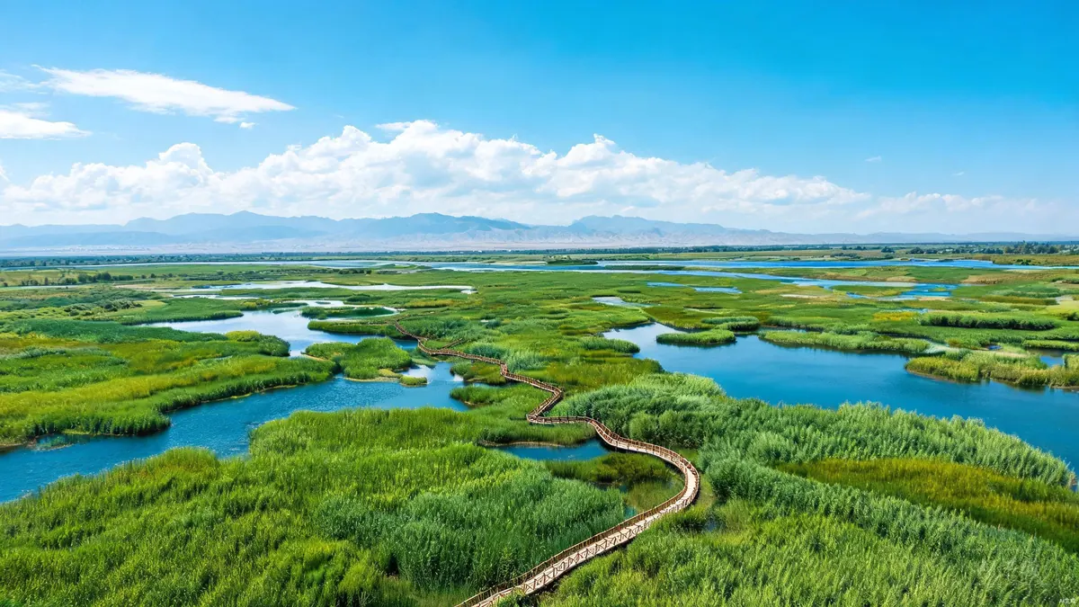 国家湿地公园景区