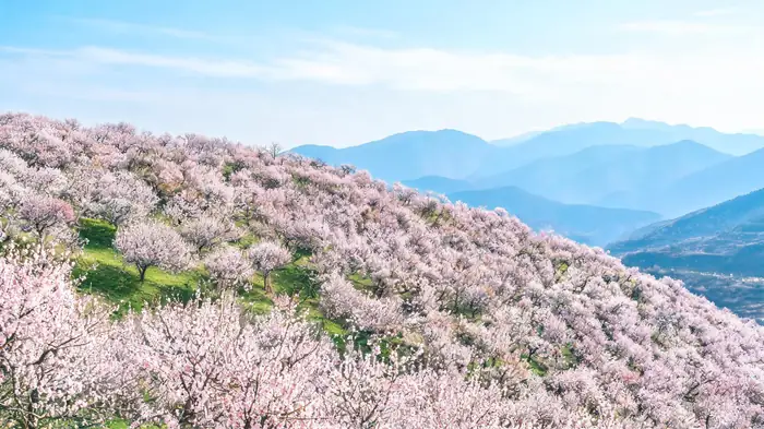 巴尔鲁克风景区 - 作品3