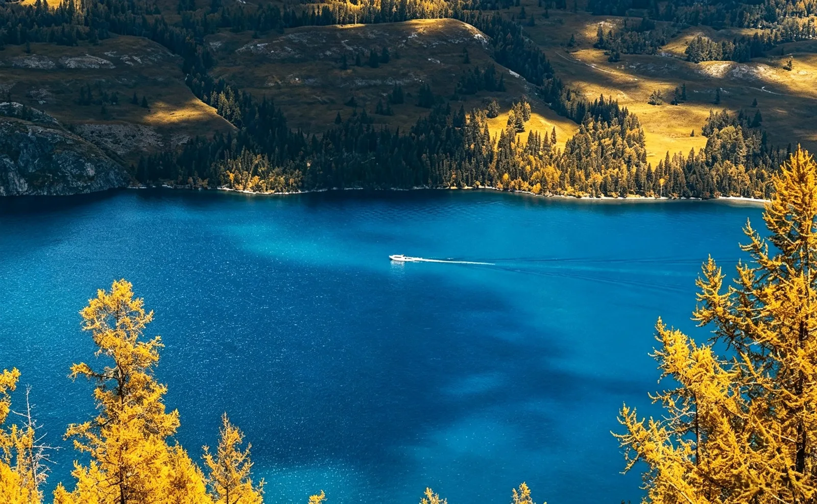 喀纳斯景区 - 作品2